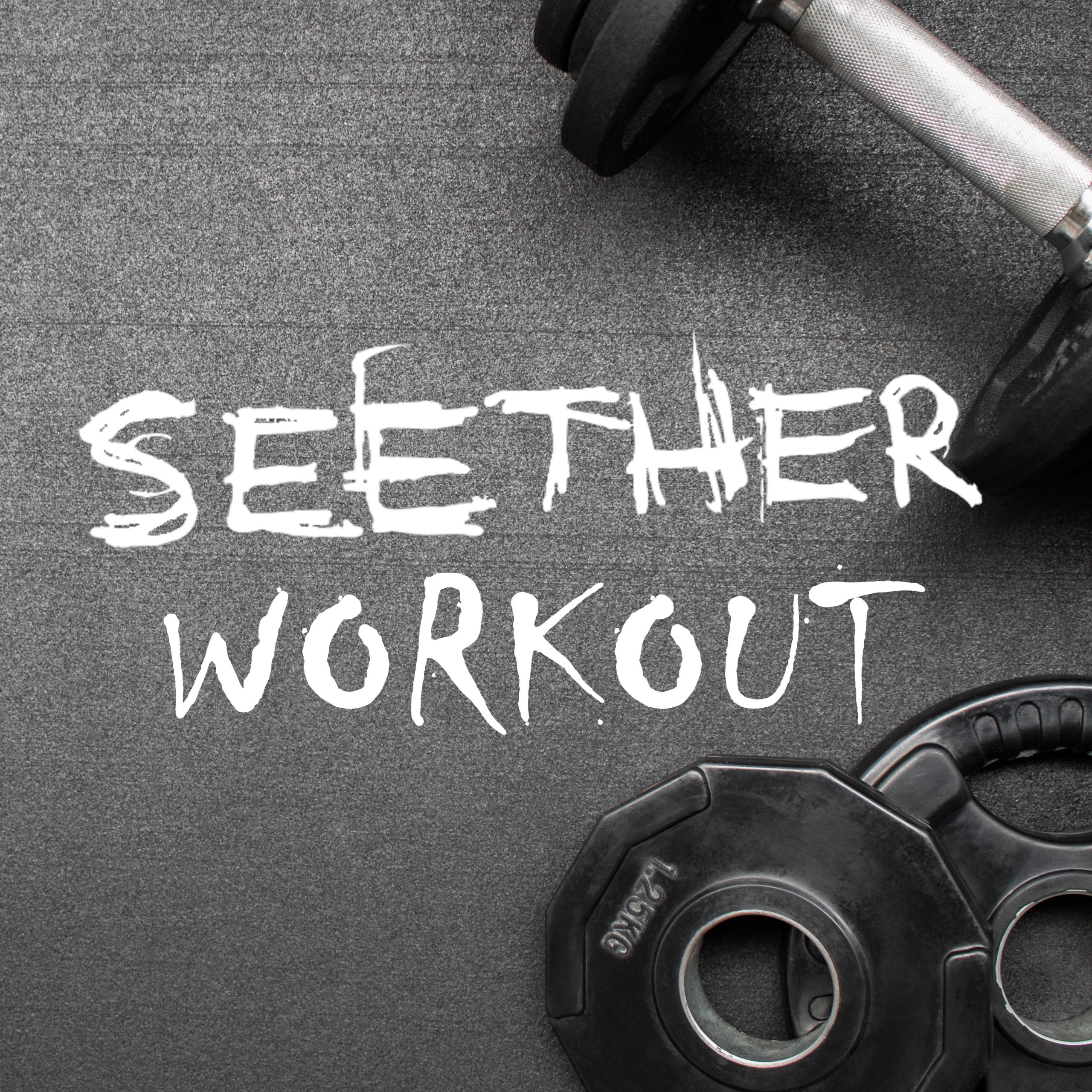 Seether Workout Thematic Artist Compilation