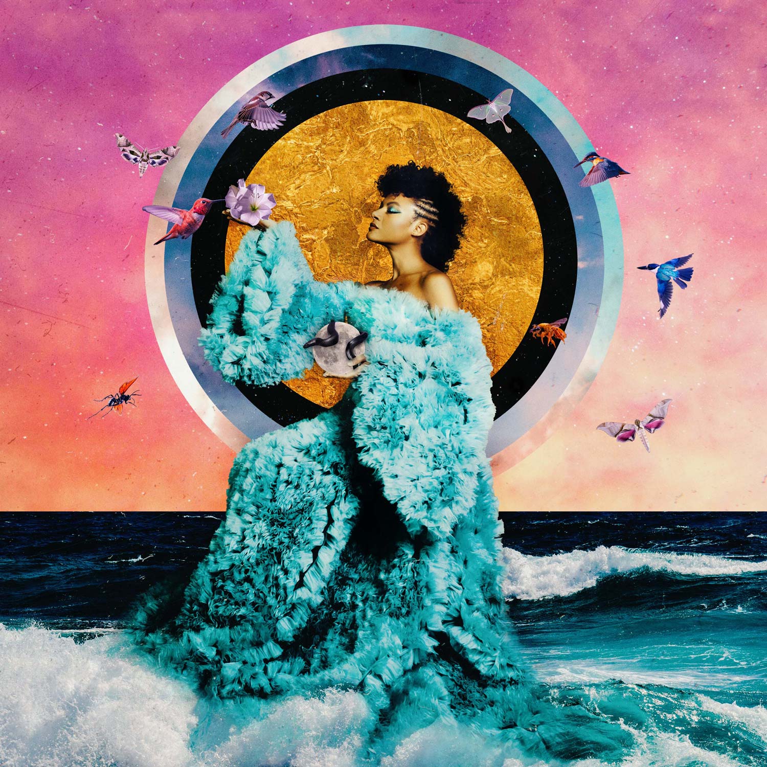 Allison Russell - The Returner Pre-Save Page